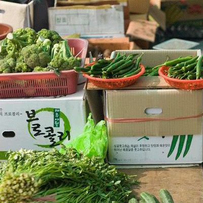 �������忹�ϻ���ʳ�ﶼ����Щ www.027eat.com