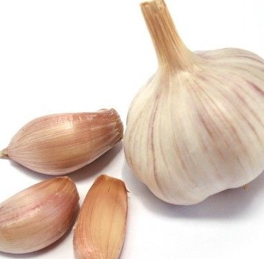 ��Դ������������ǳ����� www.027eat.com