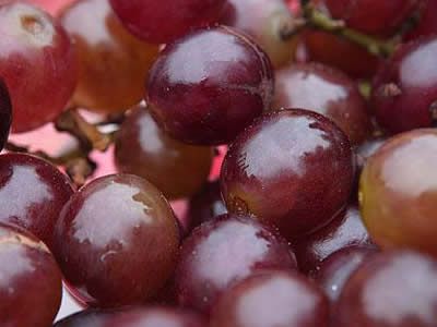 ������Ƥ��Ӫ�����ḻ www.027eat.com