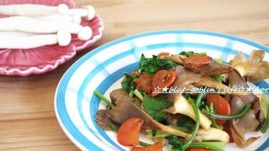 �����Ģ��������