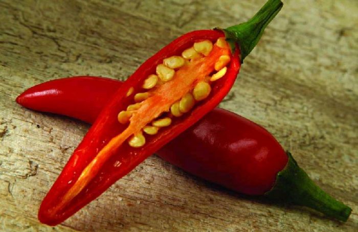 ˭˵��ð���ܳ�����! www.027eat.com