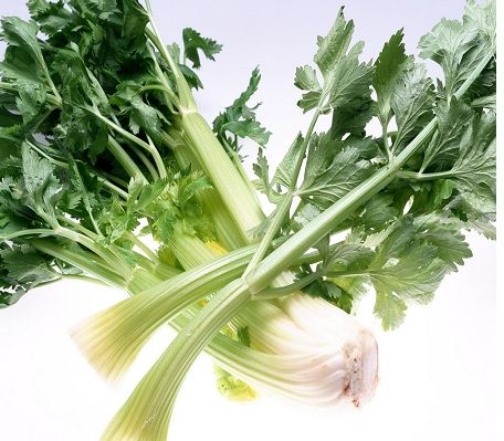 �۲�Ҷ�Ƿ���ӵ��� www.027eat.com