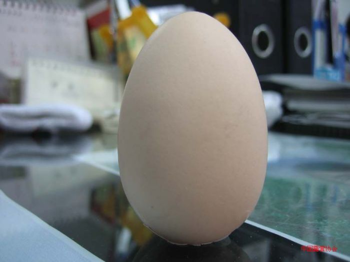 ������ʲô�Ǽ�������Ѵ www.027eat.com