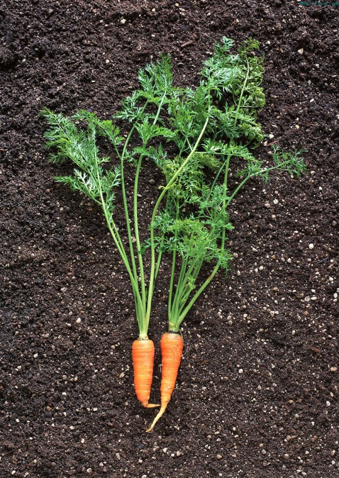 ���ܲ����,�Բ��Ե��ڰ״� www.027eat.com