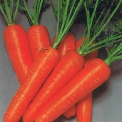 ���ܲ����,�Բ��Ե��ڰ״� www.027eat.com