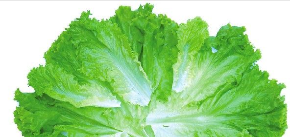 ʳ���Ӫ������������ʧ www.027eat.com