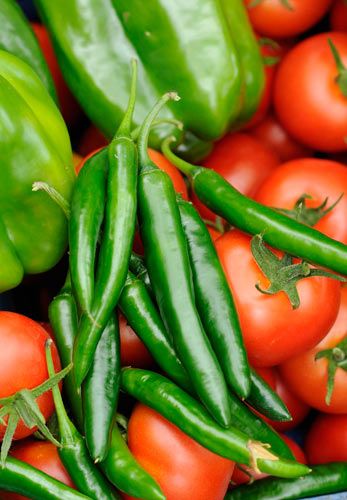 ��������ʮ���ô� www.027eat.com