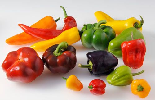 ��������ʮ���ô� www.027eat.com