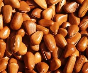 ���������������Ҹ��е�ʳ�� www.027eat.com