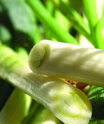 �Դ�����Щ�����أ� www.027eat.com