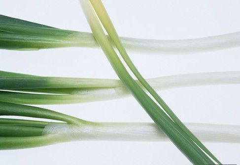 �Դ�����Щ�����أ� www.027eat.com