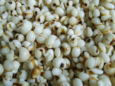 ޲������ǿ������������ www.027eat.com