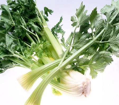 �����ݱ����йص�����ʳ�� www.027eat.com