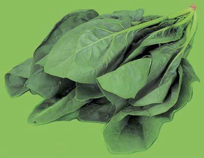 �����������б������õ��߲� www.027eat.com