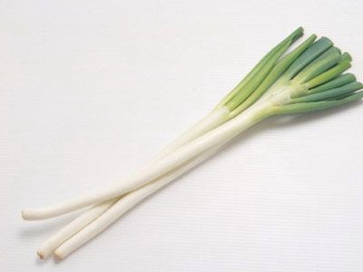 ���Ǵ���ž���ɱ��Ч�� www.027eat.com