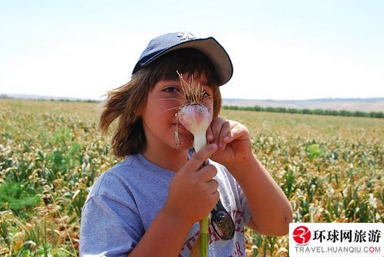 Ϊ����ɫ���Ӵ���Ϊ&ldquo;���&rdquo;��Ʒ www.027eat.com