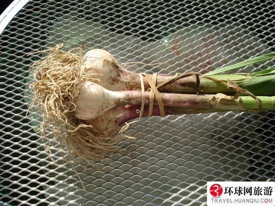 Ϊ����ɫ���Ӵ���Ϊ&ldquo;���&rdquo;��Ʒ www.027eat.com