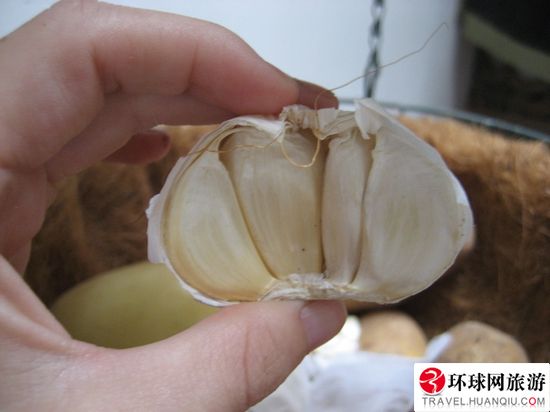 Ϊ����ɫ���Ӵ���Ϊ&ldquo;���&rdquo;��Ʒ www.027eat.com