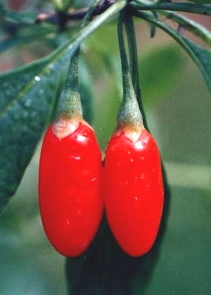 �����-����֮���ı����� www.027eat.com