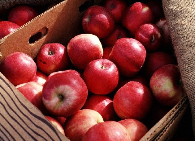 ƻ����Ϊ��֪�ļ���ô� www.027eat.com