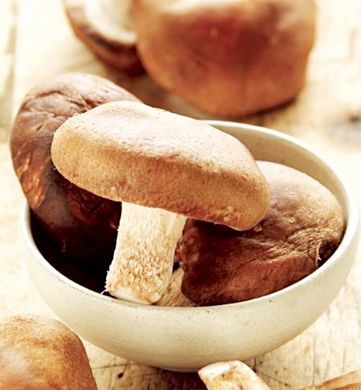 ����������˵��ȱ��Ӫ�� www.027eat.com