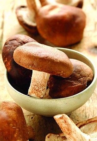 ��α����㹽��ѧ�ʣ�5�ַ�������æ www.027eat.com