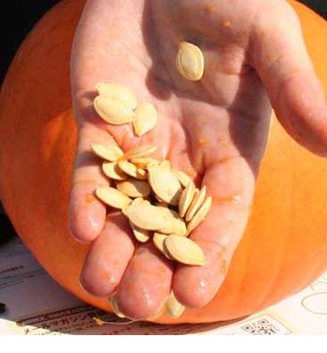 �����������淨 www.027eat.com