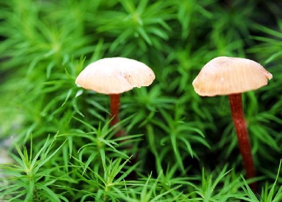 ���ﴺ�����ȥθ�ηλ� www.027eat.com