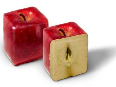 &ldquo;��ƻ��û��ƻ��ζ��&rdquo;С���ж� www.027eat.com