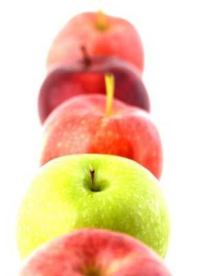 &ldquo;��ƻ��û��ƻ��ζ��&rdquo;С���ж� www.027eat.com