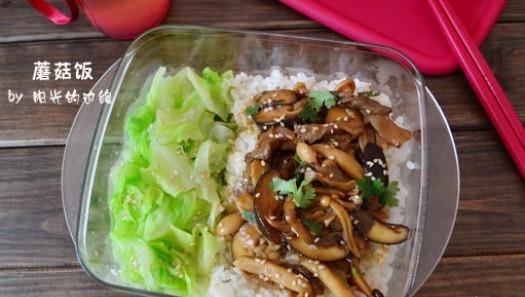 Ӫ������ Ģ����������,�����,Ģ������ô���ó���ϸ����ͼ�������