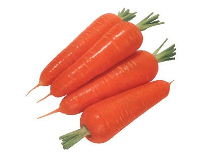 ��ҹ��ʱ������˳Ը����ܲ� www.027eat.com