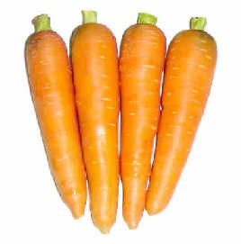 ��ҹ��ʱ������˳Ը����ܲ� www.027eat.com