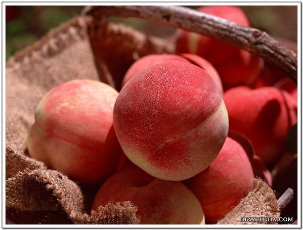 ������ɷ���ƶѪ�������������� www.027eat.com