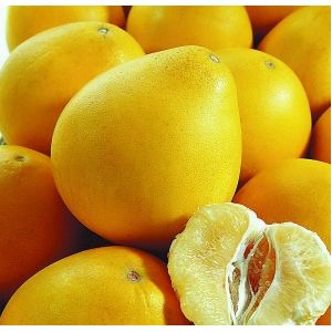 ���ӵ���ѡ���� www.027eat.com