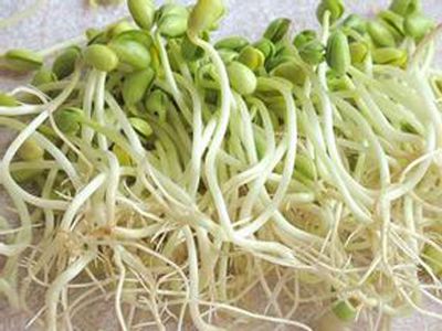 �������ʶ��ѧ��ѿ www.027eat.com