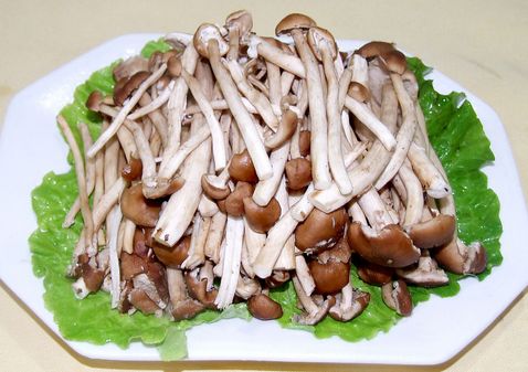 Ҫ�����ѡ�������� www.027eat.com