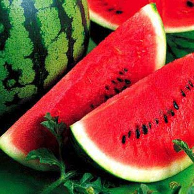 ר�ҽ������ʵ�õ������ؼ� www.027eat.com