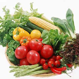 ��ô����ѡ���������߲� www.027eat.com