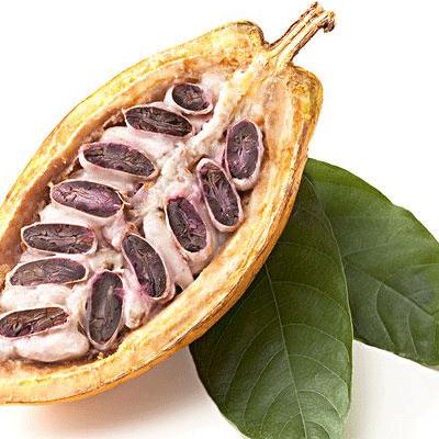 ��ʲô����������Ч���� www.027eat.com