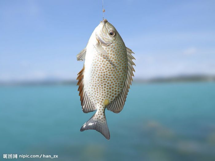 �����ѡ���ʵ��� www.027eat.com