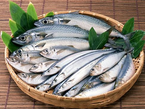 ���ʵ���Ӧ�������ѡ www.027eat.com