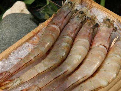 ��Ϻ�ͺ�Ϻ֮���к����� www.027eat.com