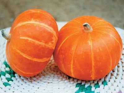 ��ѡ�����Ϲϵ�С���� www.027eat.com