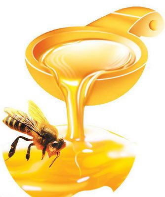 ����ȥ�����ٷ佺 www.027eat.com