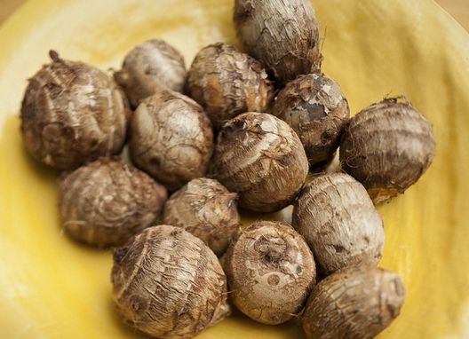 ��ͷ����ѡҪ������Щ www.027eat.com