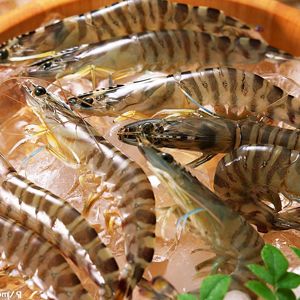 ��ϺӦ��ע������� www.027eat.com