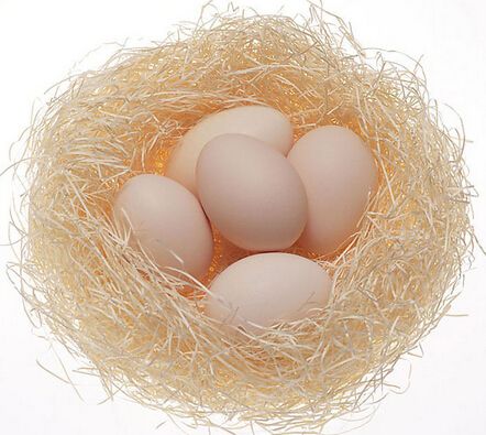 ���弦����ʮ���� www.027eat.com