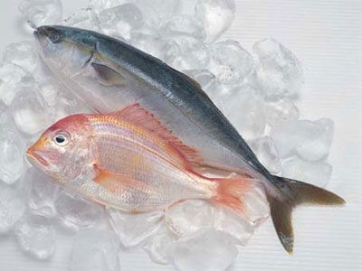 ��˲����ⲻ���ҳ� ���Ļ����� www.027eat.com