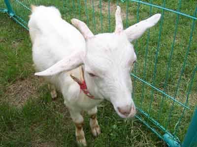 ��˲����ⲻ���ҳ� ���Ļ����� www.027eat.com